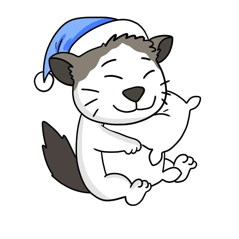 Chat race Ragdoll