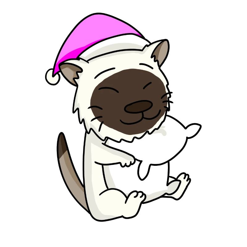 Chat race de chat Birmanie