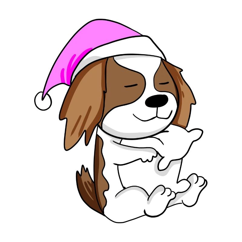 Chien race de chien Cavalier King Charles Spaniel