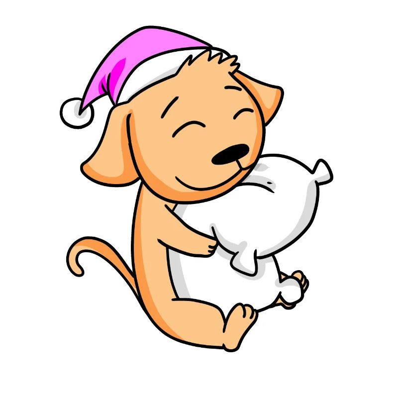 Chien avec oreiller et bonnet de couchage