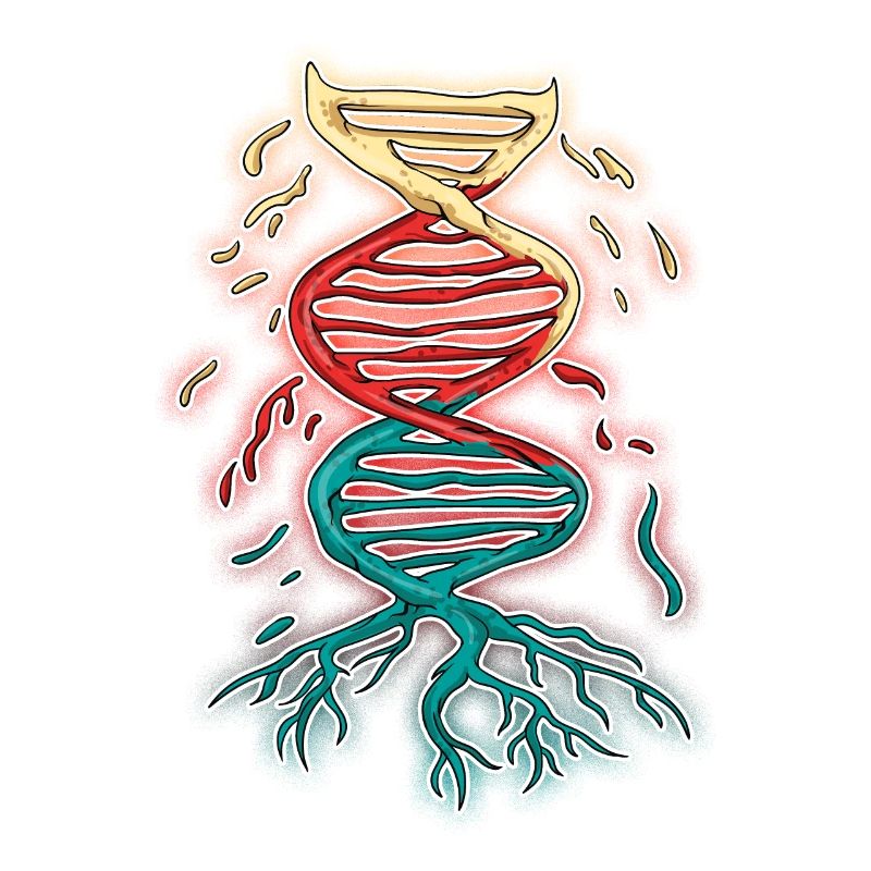 DNA Strand Sequence Biology Sciences