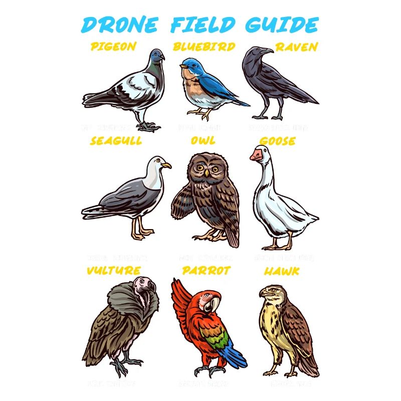 Guide des oiseaux Drones Canards Perroquets Hiboux
