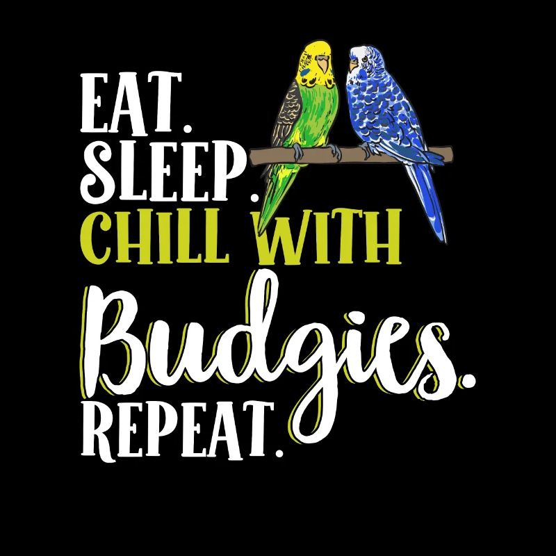 Budgerigar Perruche Oiseau Cadeau pour animaux de compagnie