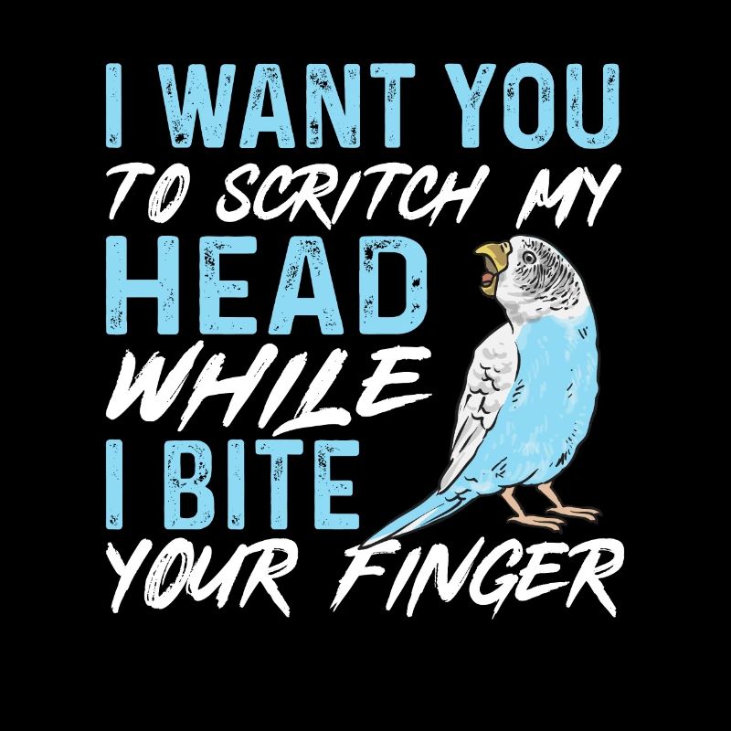 Budgerigar Perruche Oiseau Cadeau pour animaux de compagnie