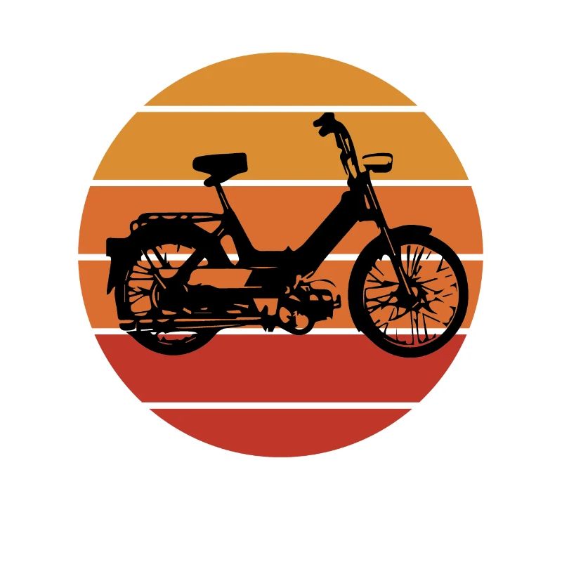 DDR Mobylette Oldtimer Roller Mofa Scooter 2 Takter