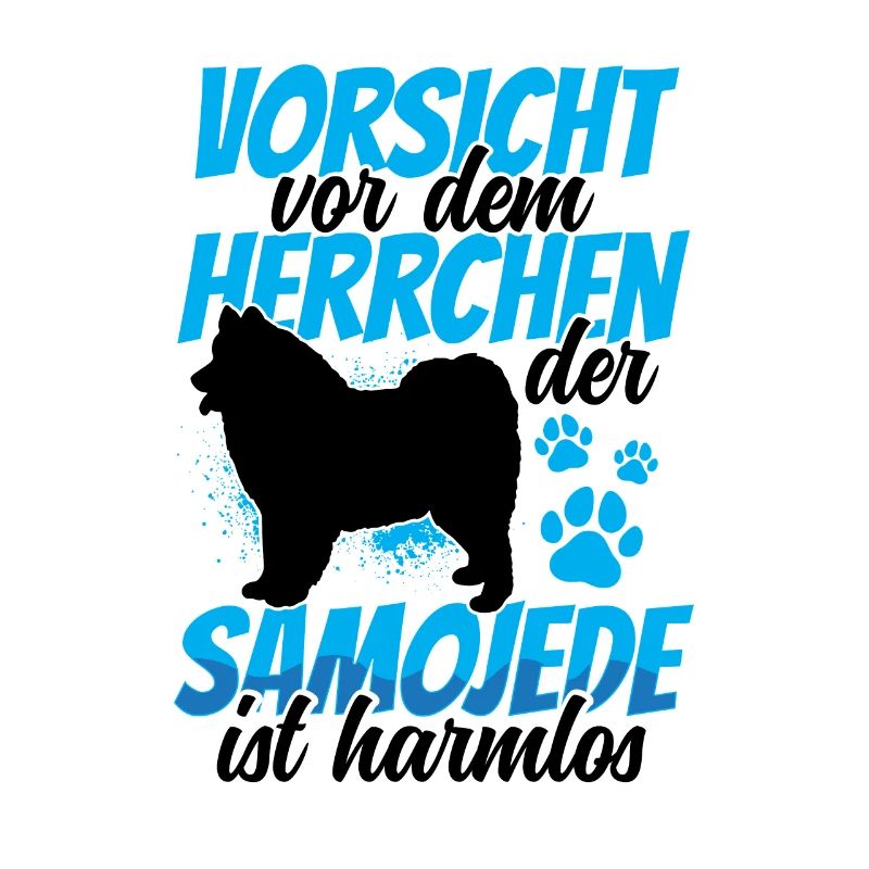 Samojede ist harmlos Samojedenspitz