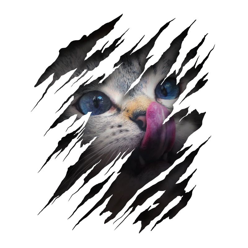 Cat with scratch - Cat face Scratch Cat