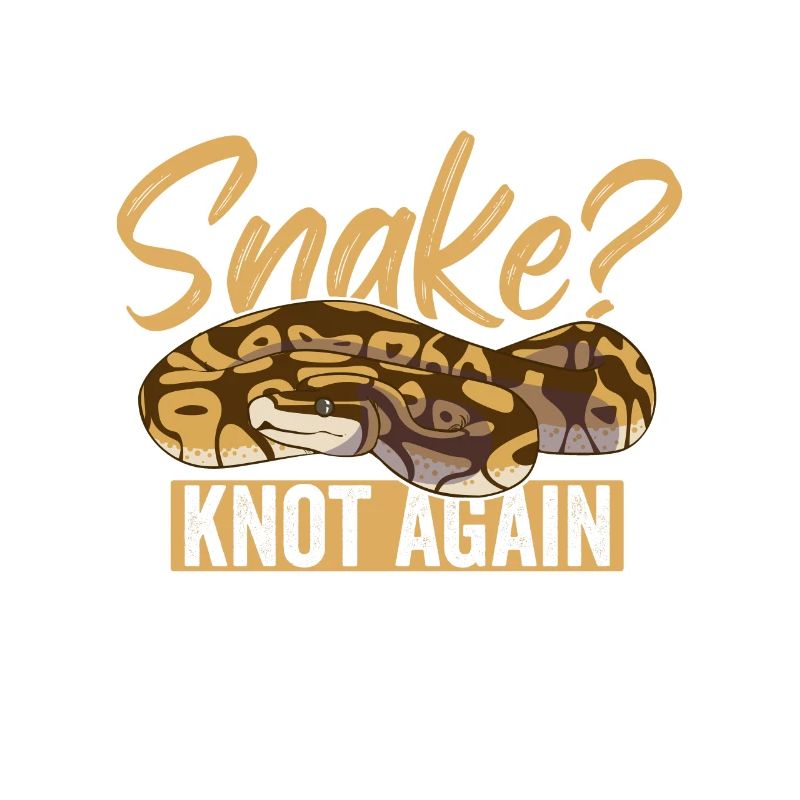 Königspython Ball Python