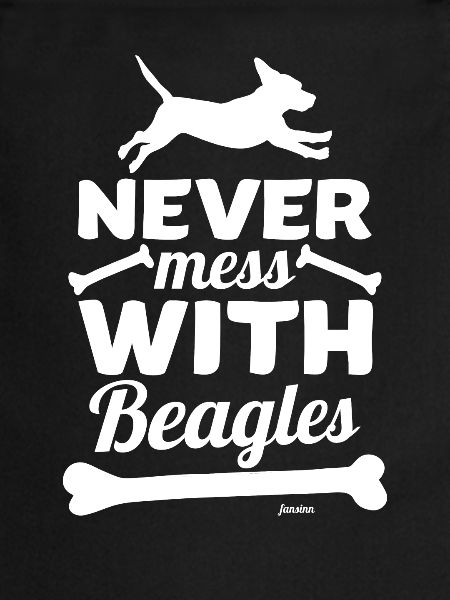 Beagle