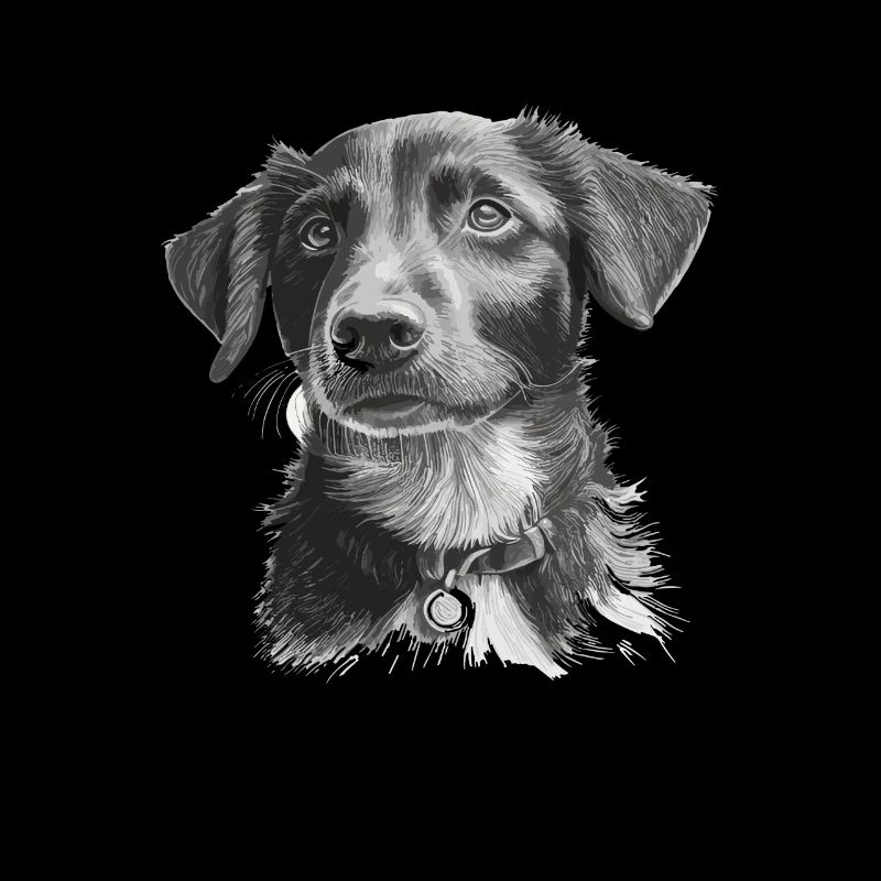 Chien