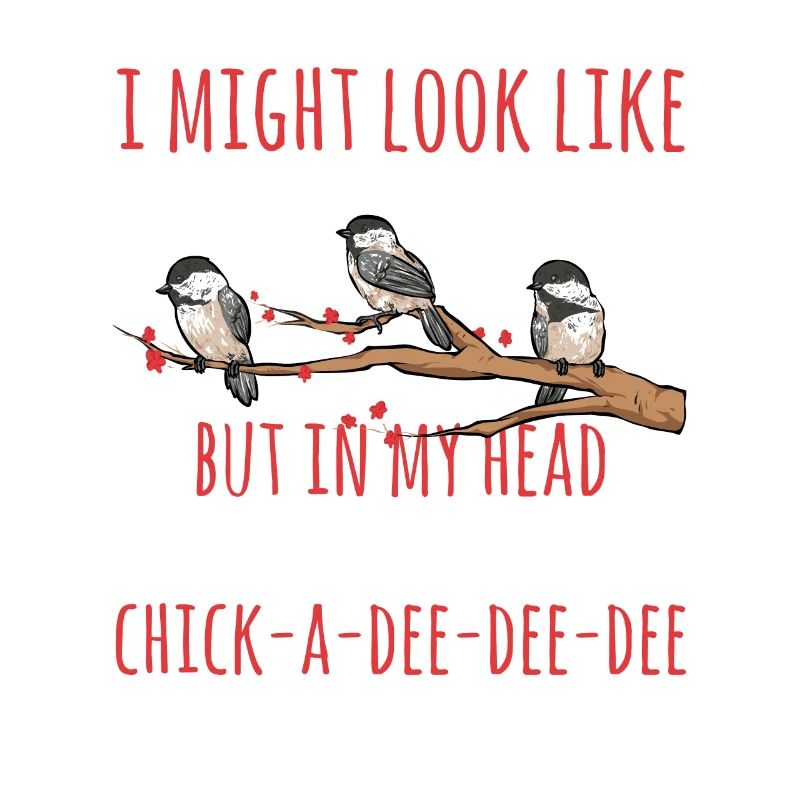 Observation des oiseaux mésanges