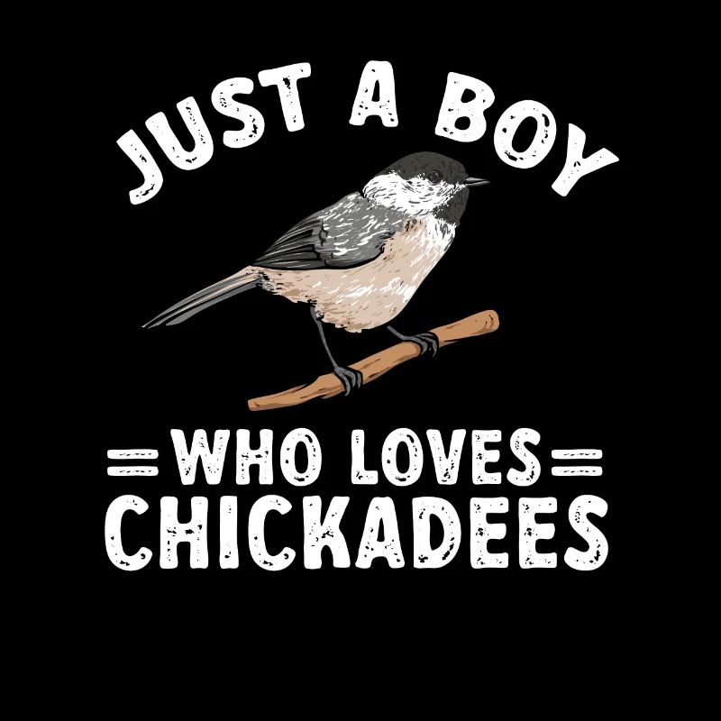 Bird Chickadee Bird Watching