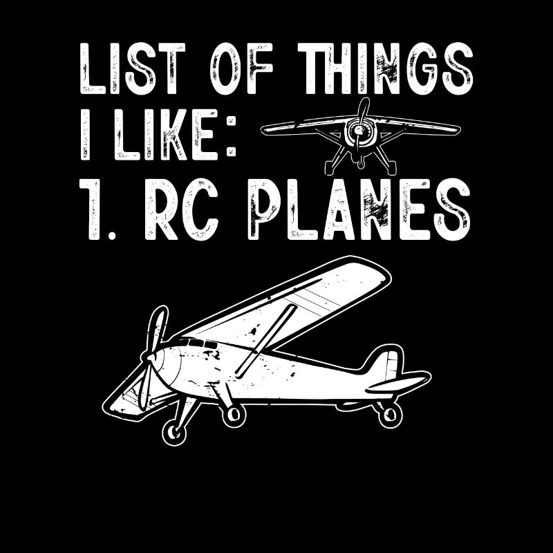 Remote Controlled Airplane Model Airplane