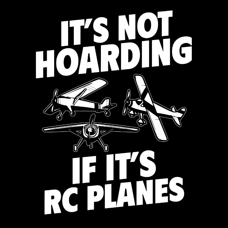 Remote Controlled Airplane Model Airplane