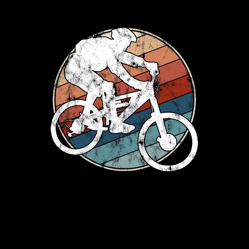VTT rétro