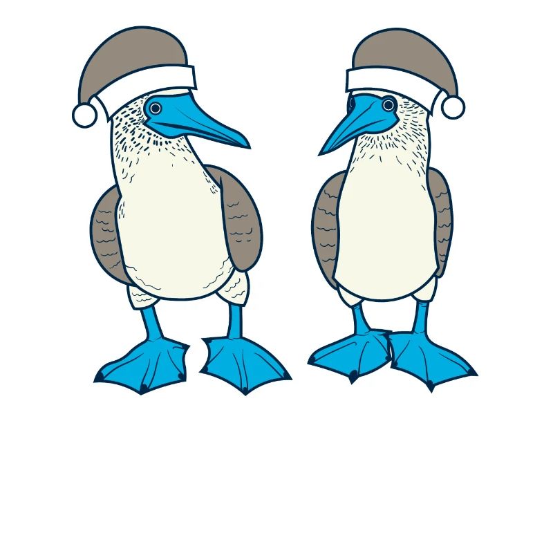 Fou à pieds bleus Noël