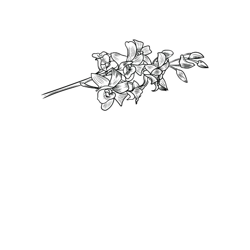 Orchidee Blüte Blume Duft