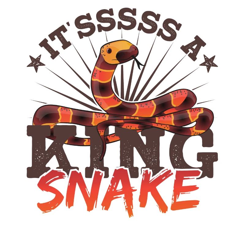 It'sssss a King Snake