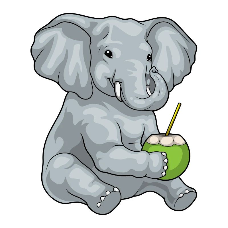 Éléphant Noix de