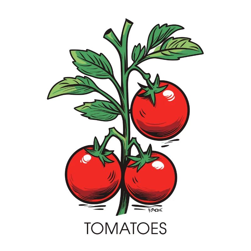 Juste des tomates