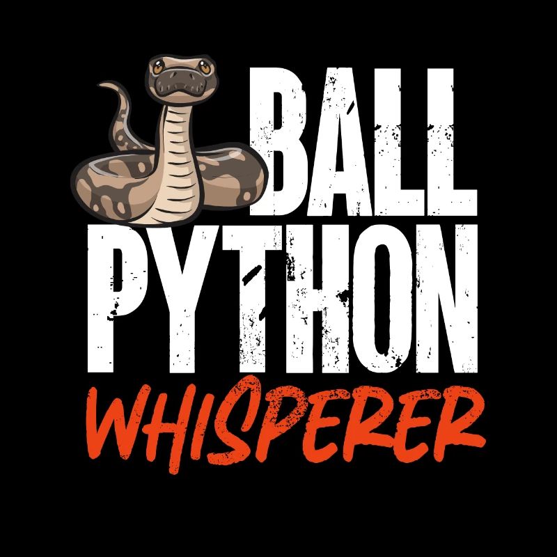 Ball Python Schlange Königspython