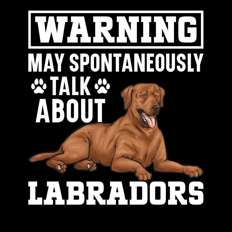 Fuchsroter Labrador Retriever Fox Labrador rouge