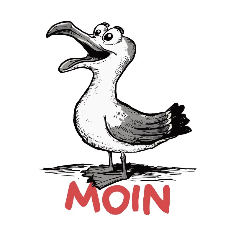 Moin Möwe
