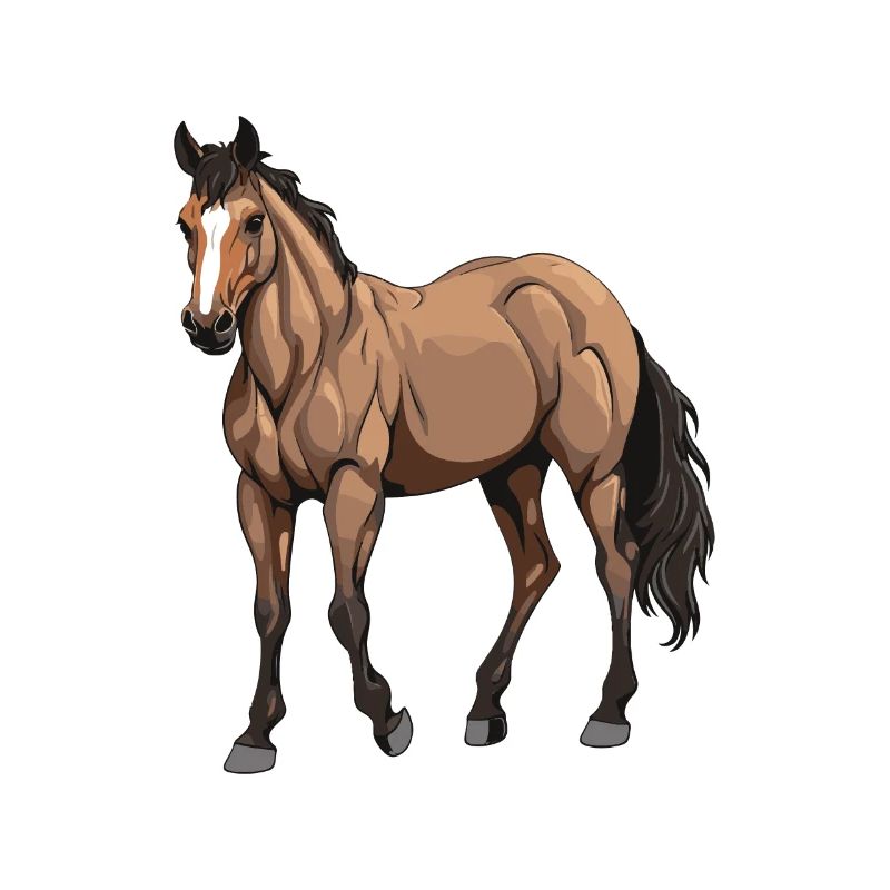 Pferd Tier