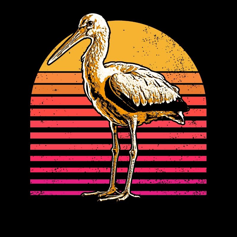 Storch