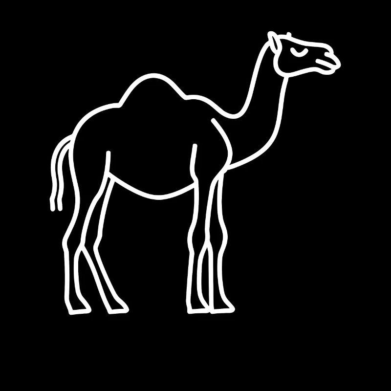 Dromedary