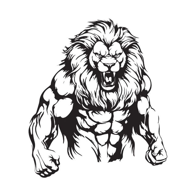 Leo Muscles Musculation