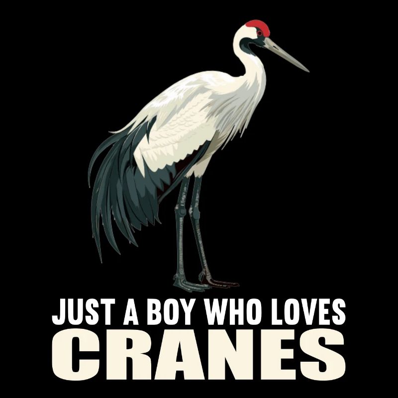 Kraniche Kranich