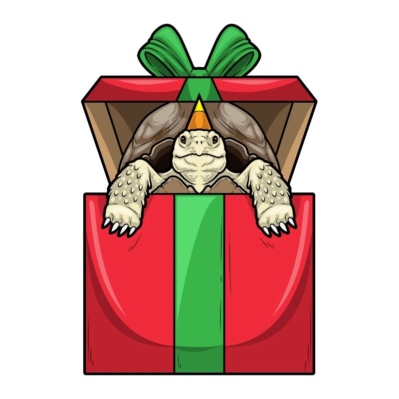 Turtle Birthday Package