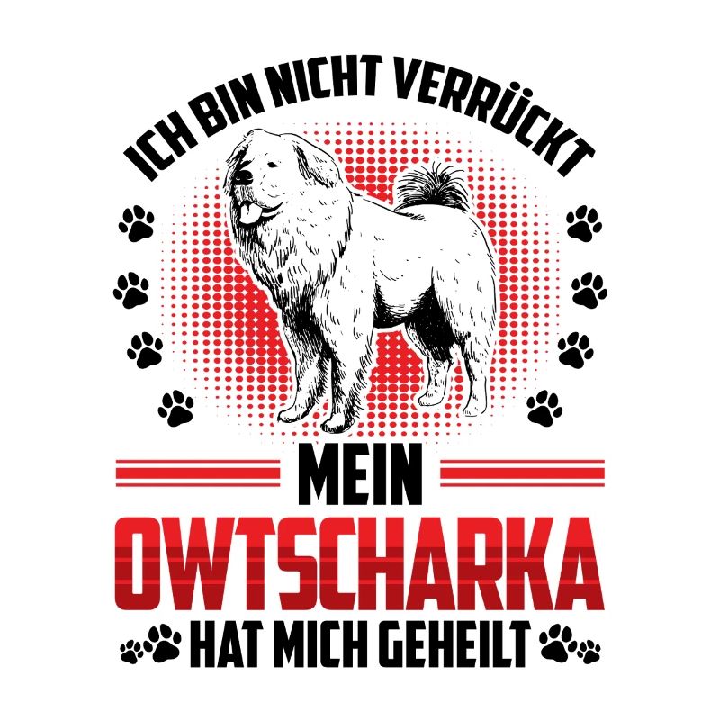 Kaukasischer Owtscharka heilt mich
