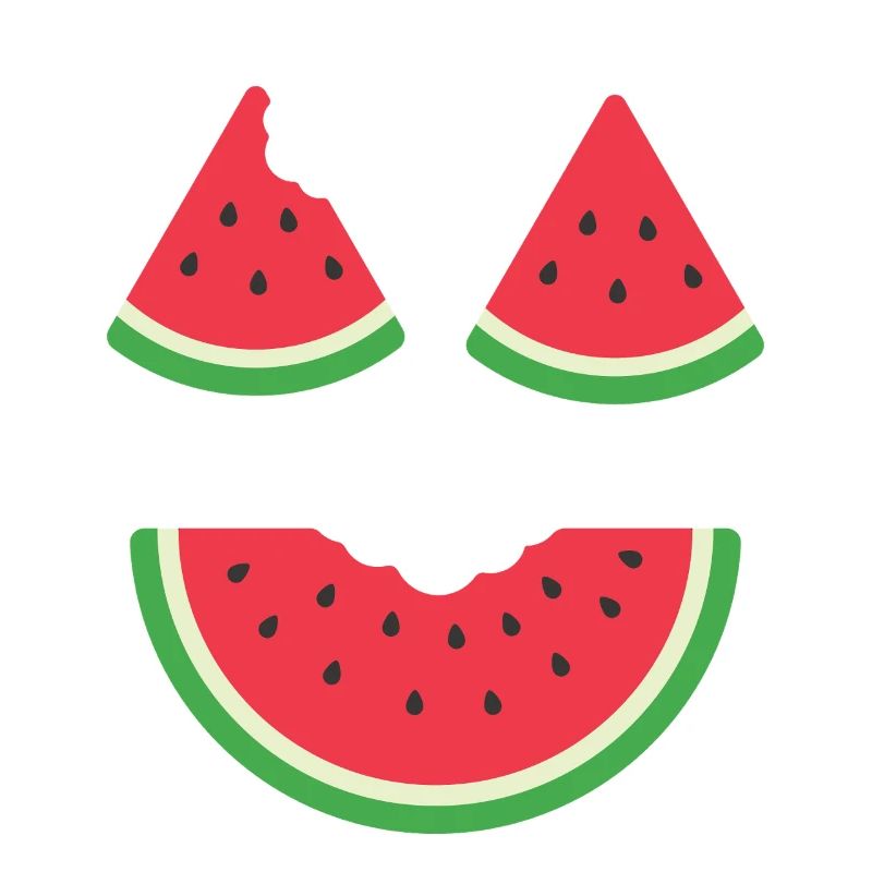 Costume de melon Carnaval Pastèque