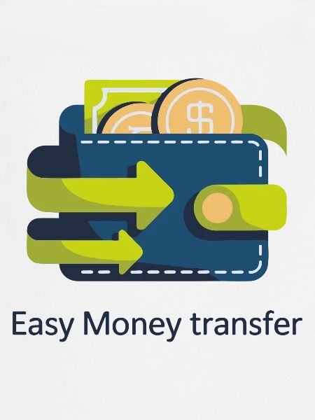 Cash Flow Wallet Icon