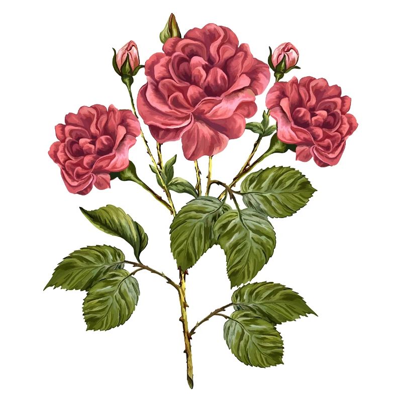 Fleur