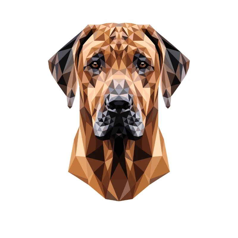 Chiens de chasse Rhodesian Ridgeback Pride Ridgeback