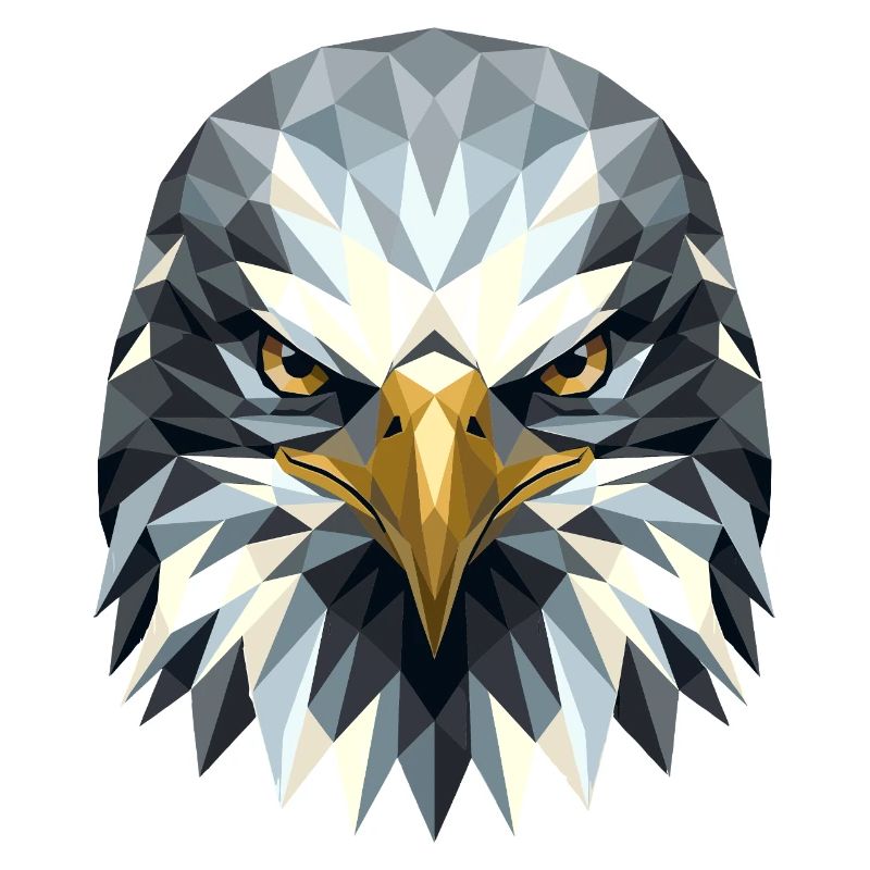 Aigle Pygargue à tête blanche Aigle royal Pygargue à queue blanche