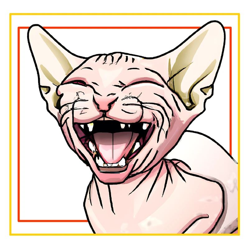 Le chat Sphynx rit