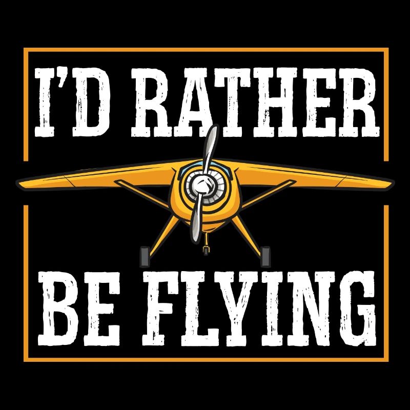 Remote Controlled Airplane Model Airplane