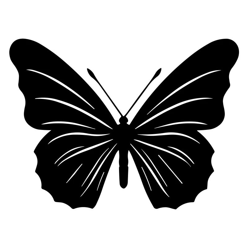 Petit papillon