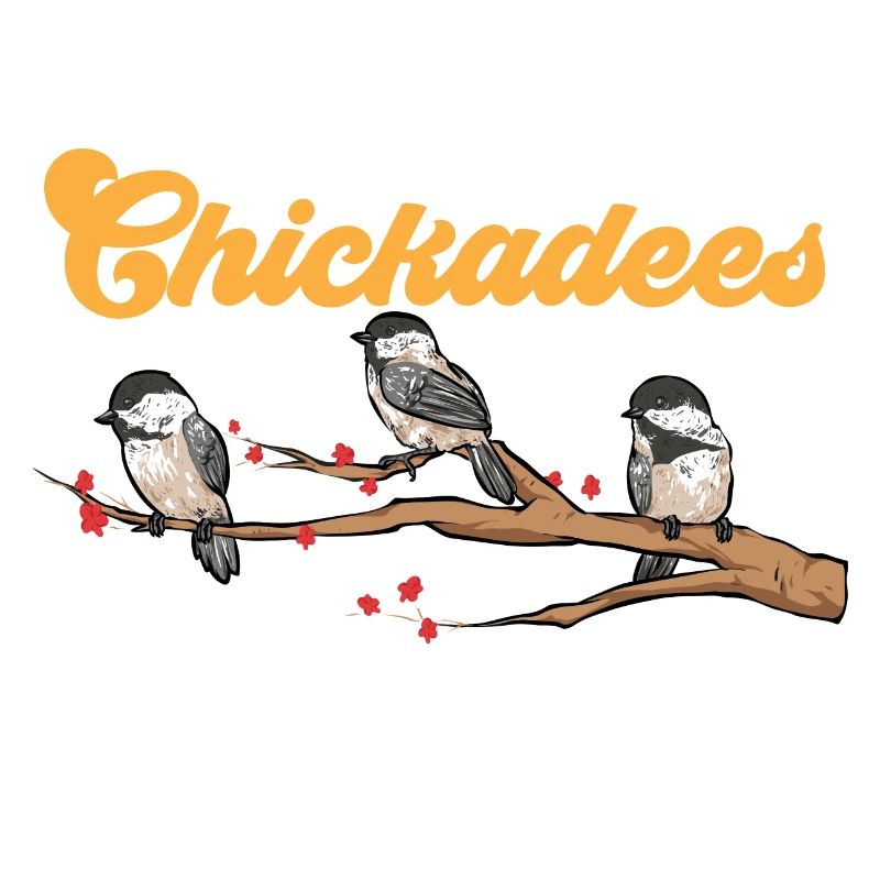 Observation des oiseaux mésanges
