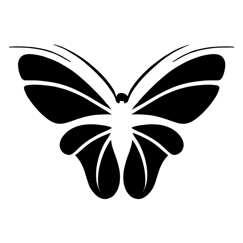 butterfly