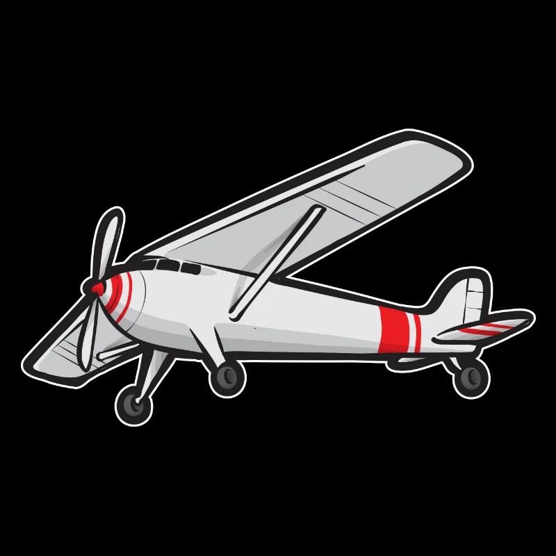 Remote Controlled Airplane Model Airplane