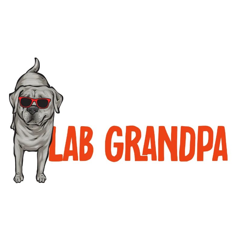 Silver Labrador Retriever Silver Lab