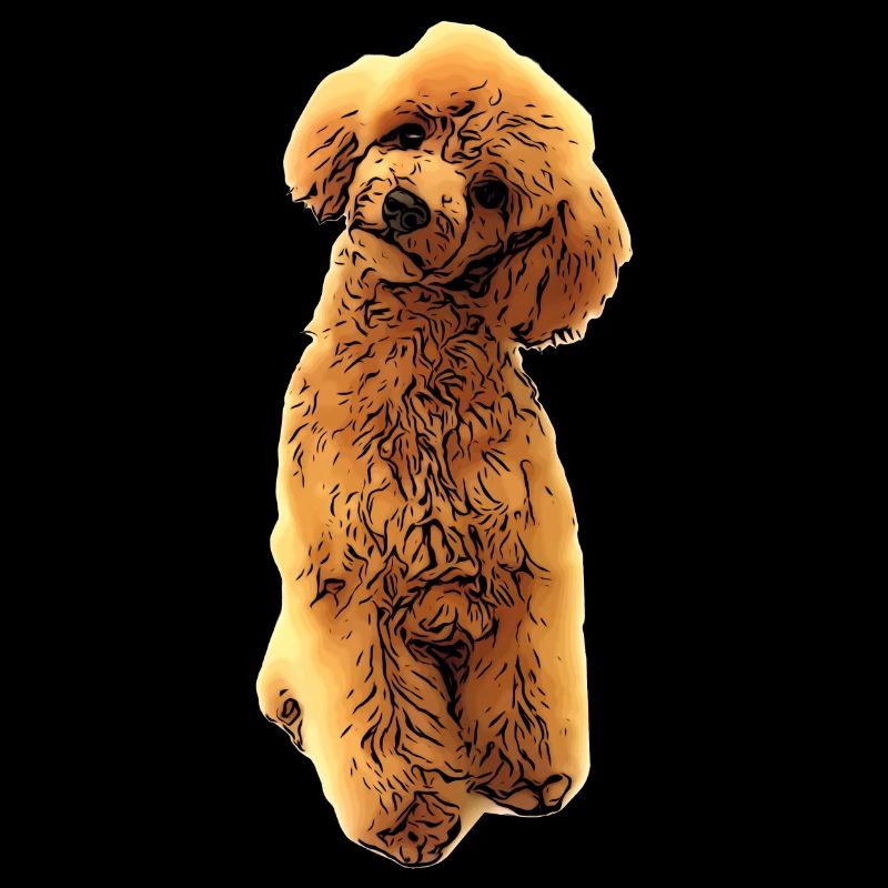 Chiot doux caniche