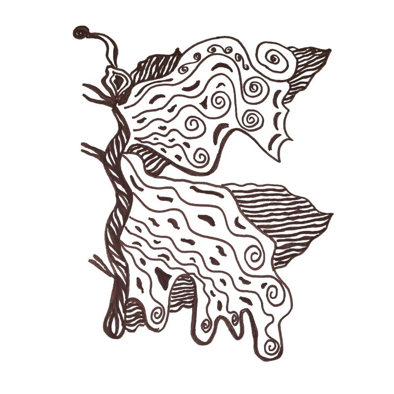 Papillon
