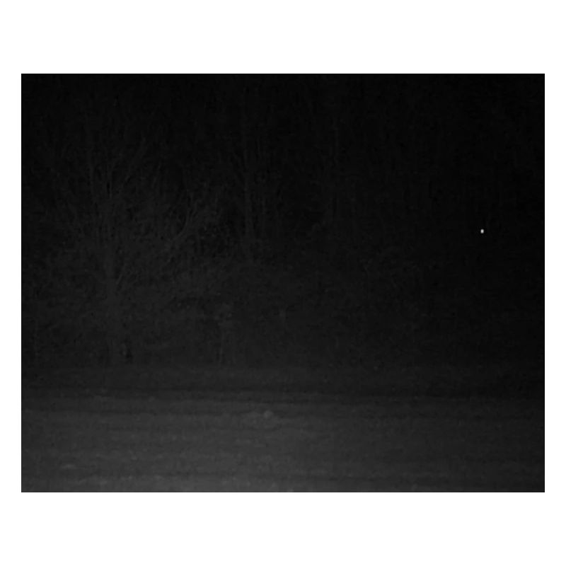 Creepy creature in the forest