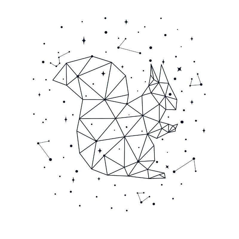 Constellation Squirrel Constellation Squirrel